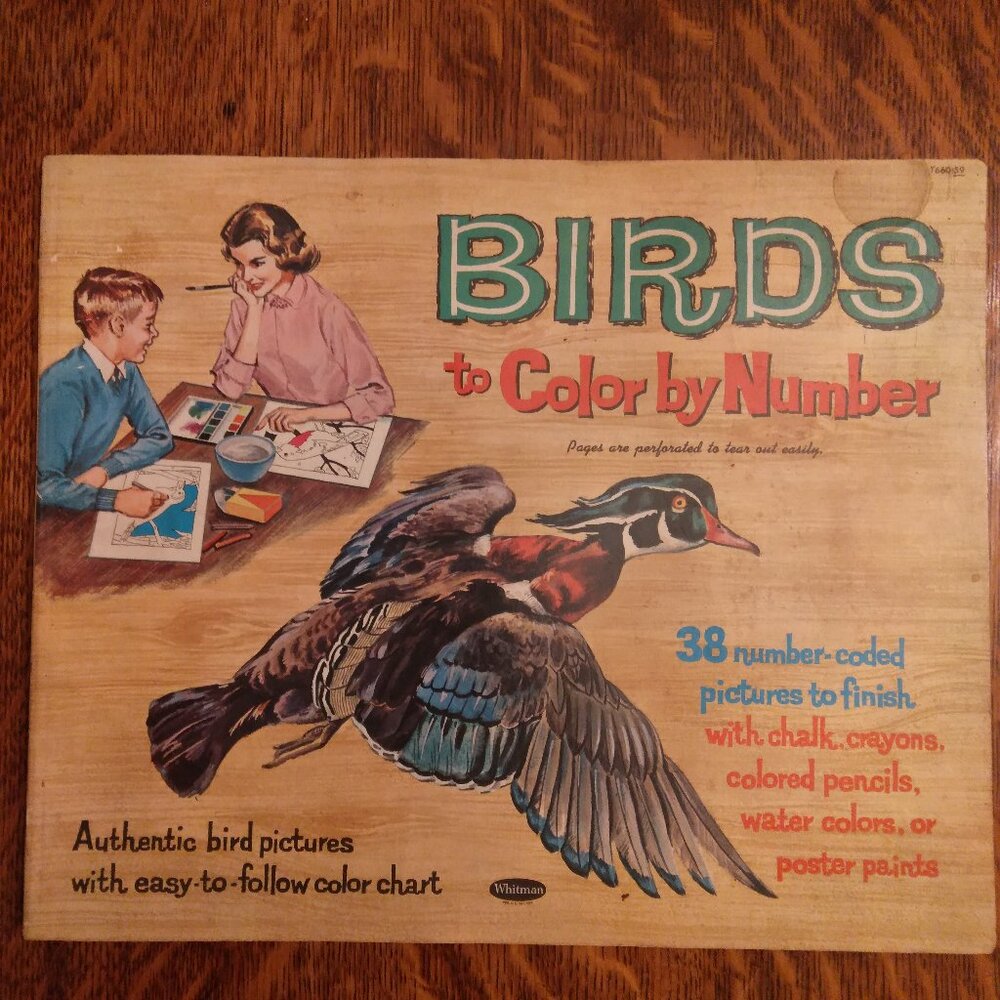 VINTAGE Birds to Color by Number WHITMAN BIRD PICTURES 1961 Racine Wisconsin